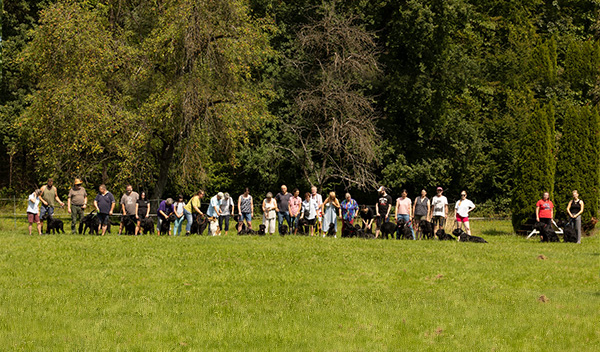 Zwingertreffen